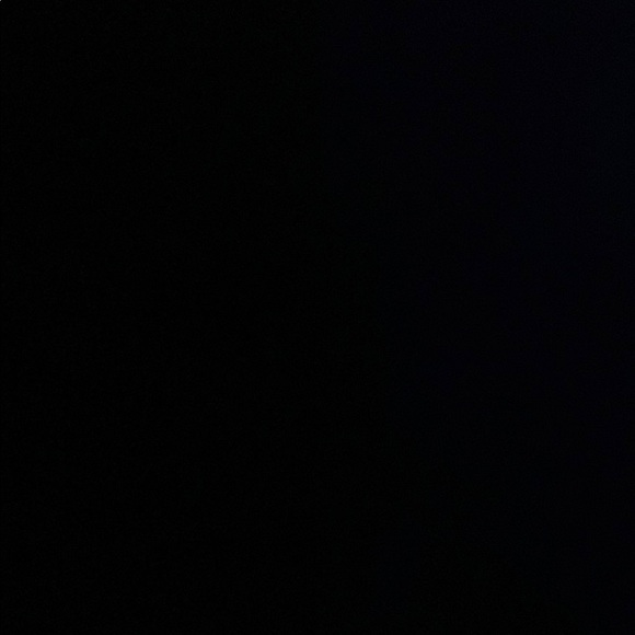 Meet your Posher, Molly - Picture 1 of 1